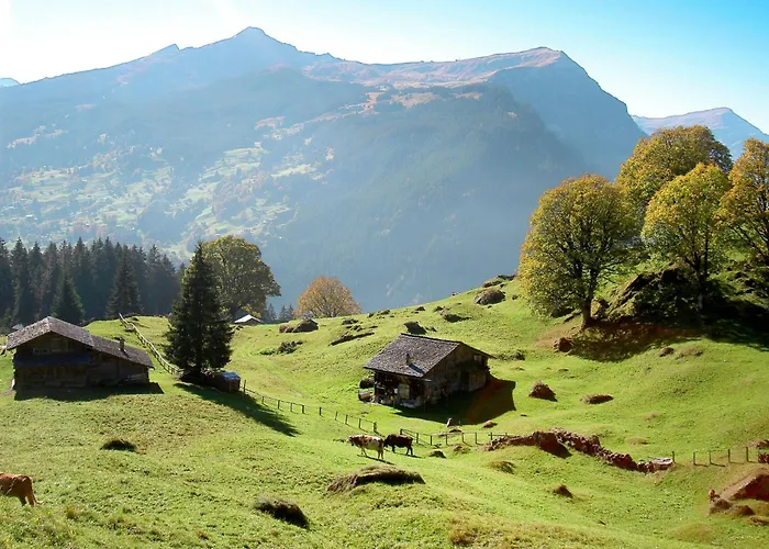 Im Adelheid By Interhome Lägenhet *